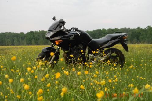 Honda CBF 600